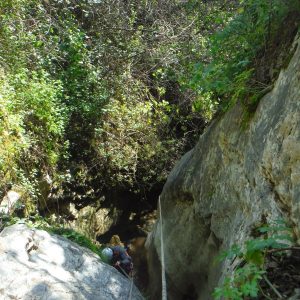 DSCF0214
