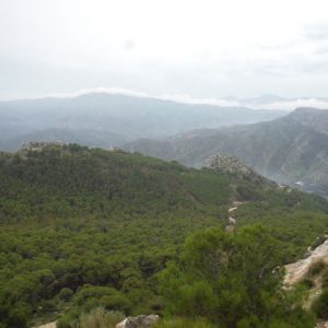 DSCF1392