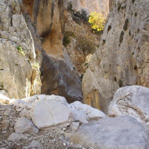 PC060002