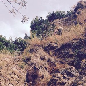 Unknown-2